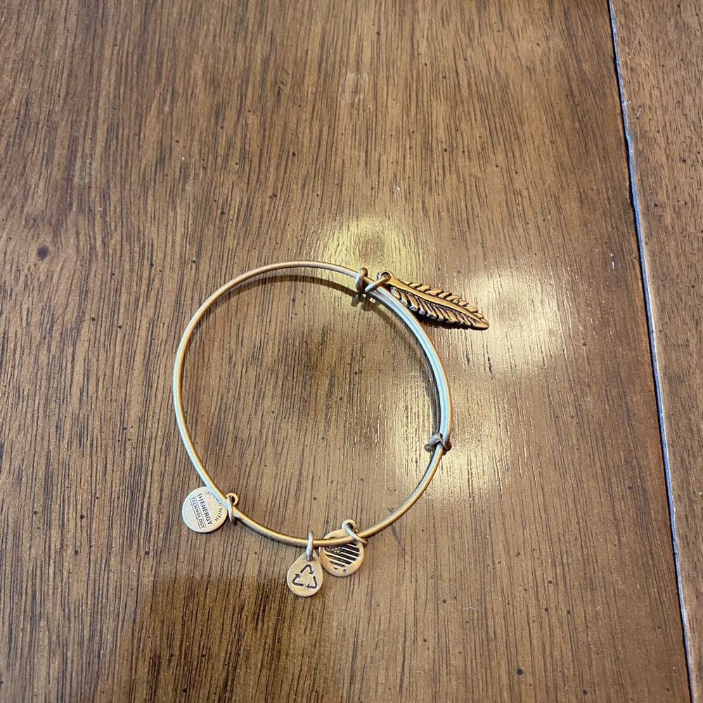 Alex and Ani Feather Bracelet